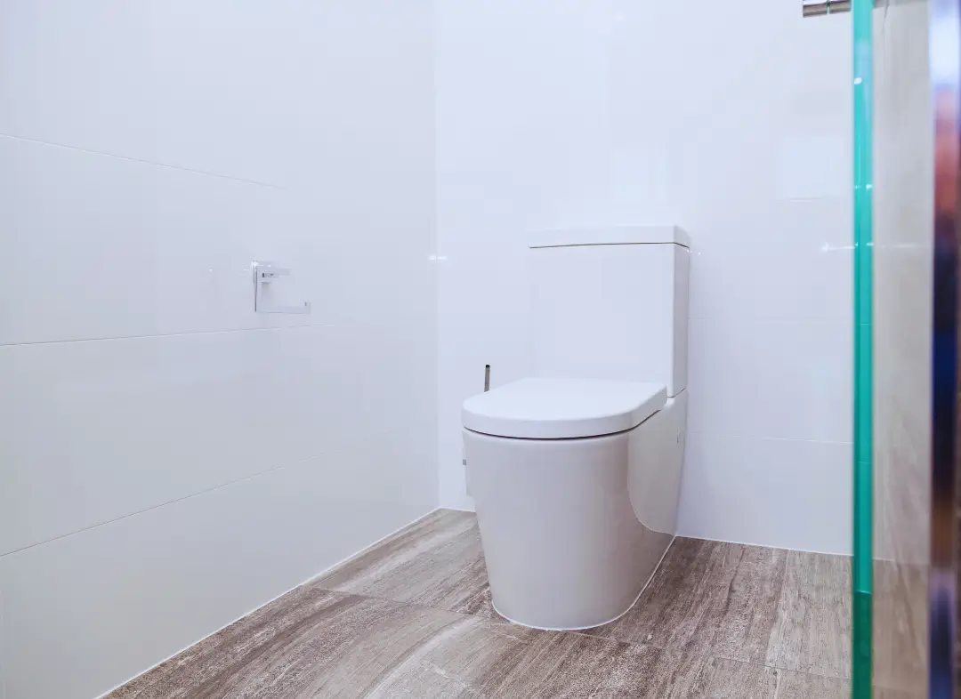 Remplacement de wc Le Poinçonnet